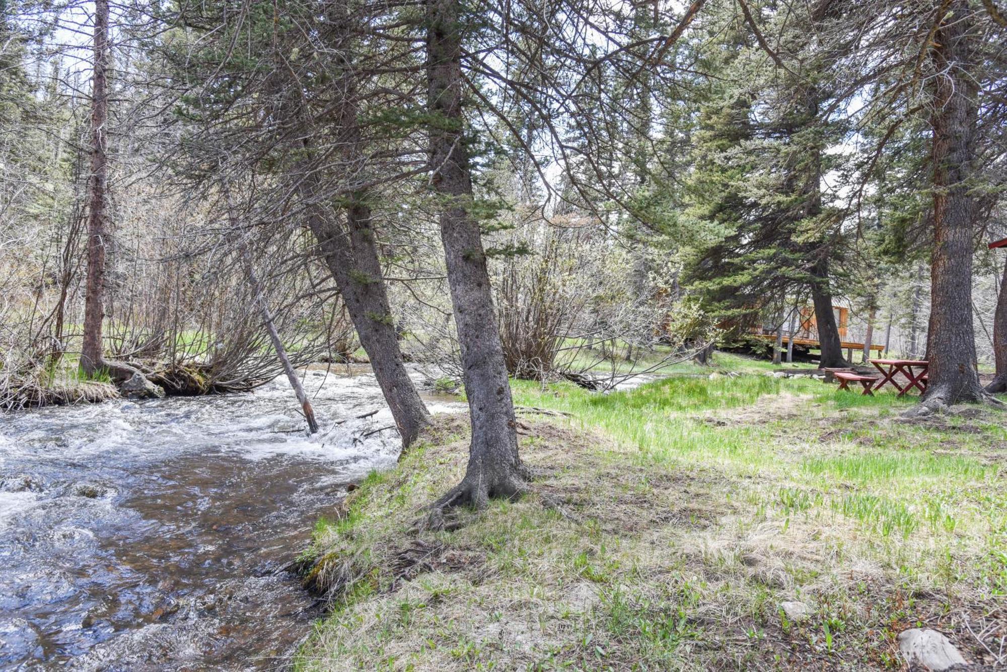 Bear Bait Cabin In Upper Valley With High Speed Wifi Red River Buitenkant foto